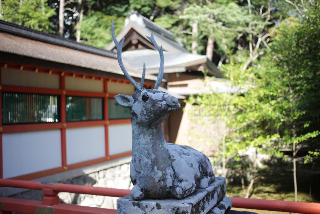 京都 大原野神社