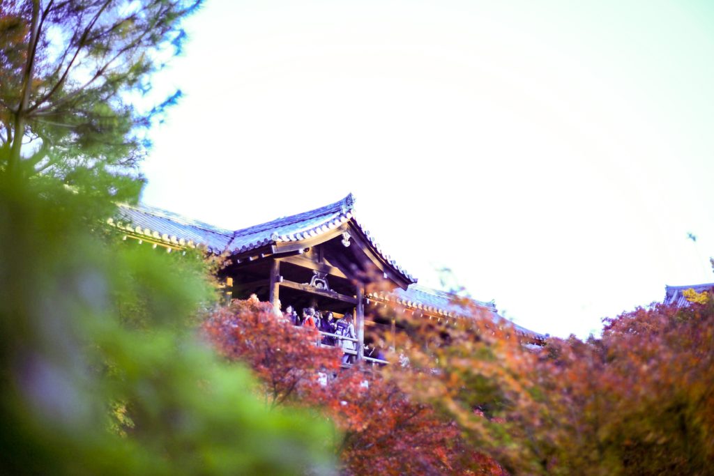 東福寺 紅葉